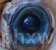 Q10ܛzҡ(hu)N(xio)Ʒ